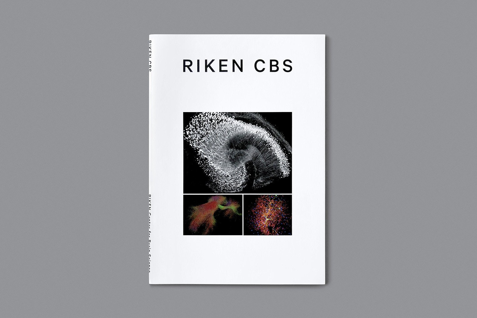 RIKEN-CBS-1.jpg
