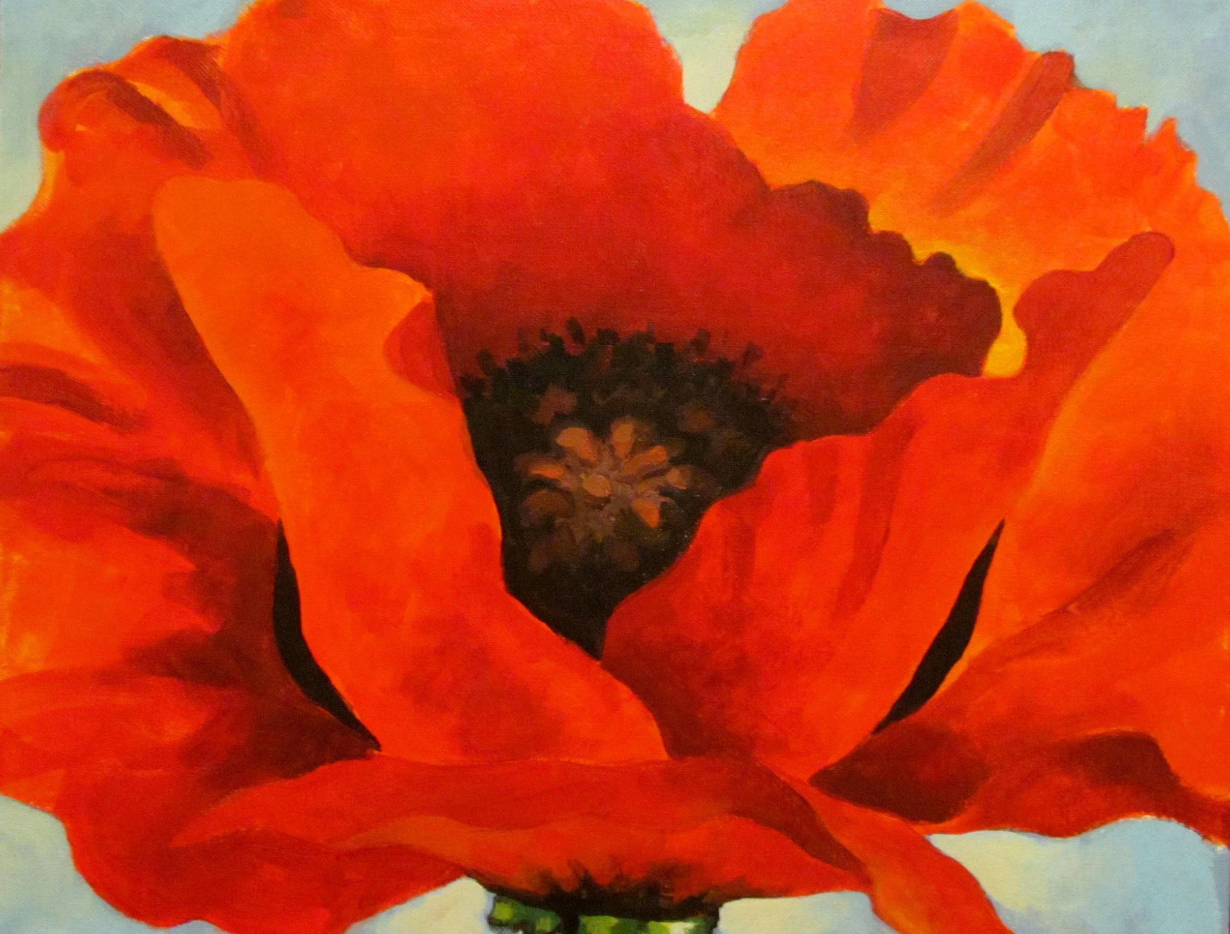 RedPoppy-Final.jpg
