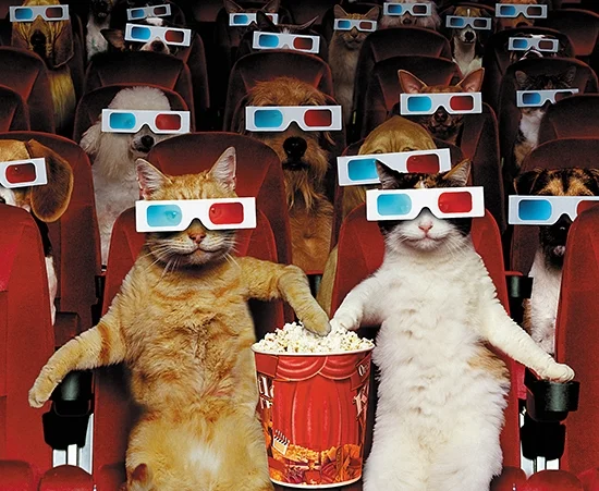 Pets-At-The-Movies.jpg