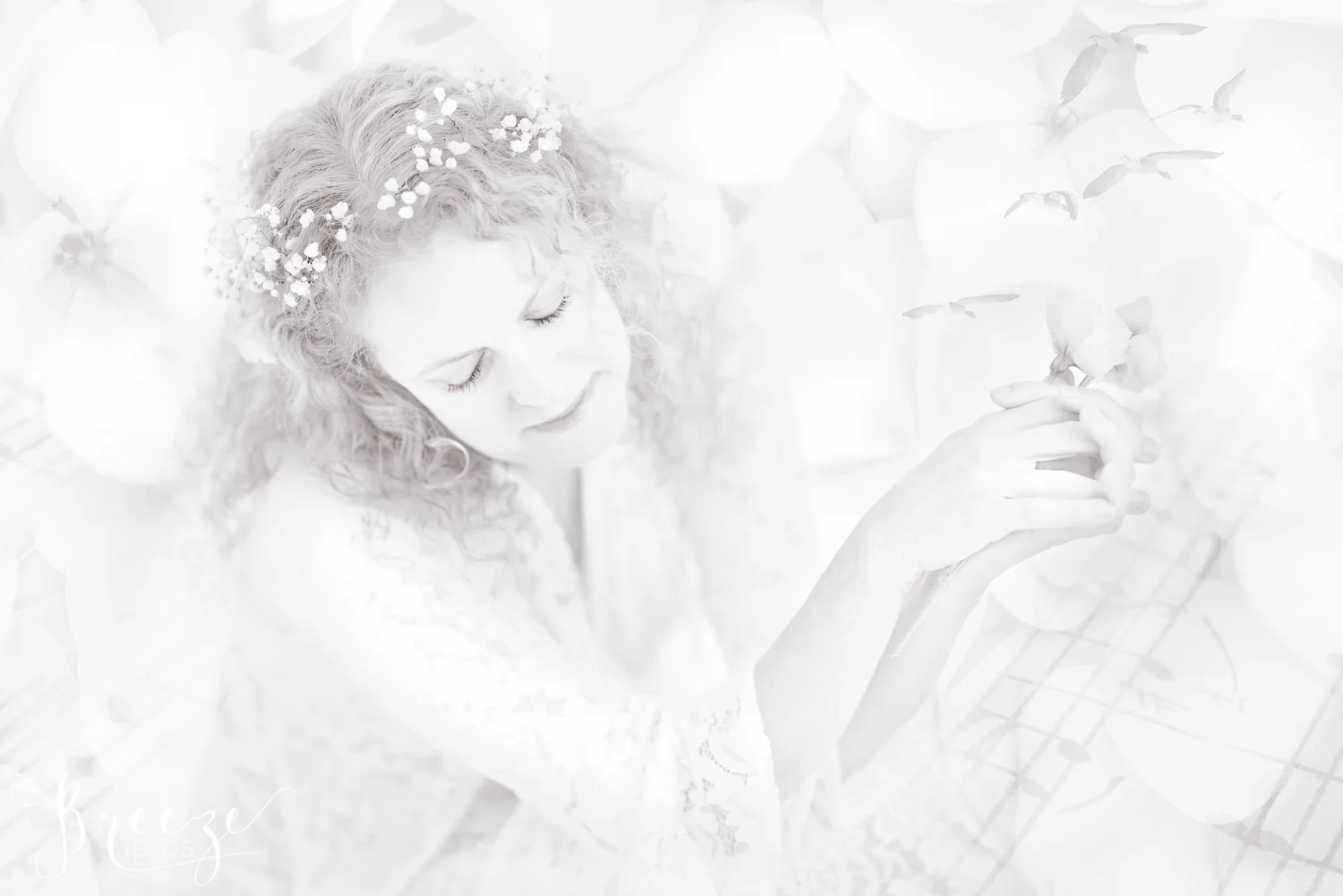 Nature's Song, Fine Art Print Photograph, Breeze Pics, Bernadette Meyers