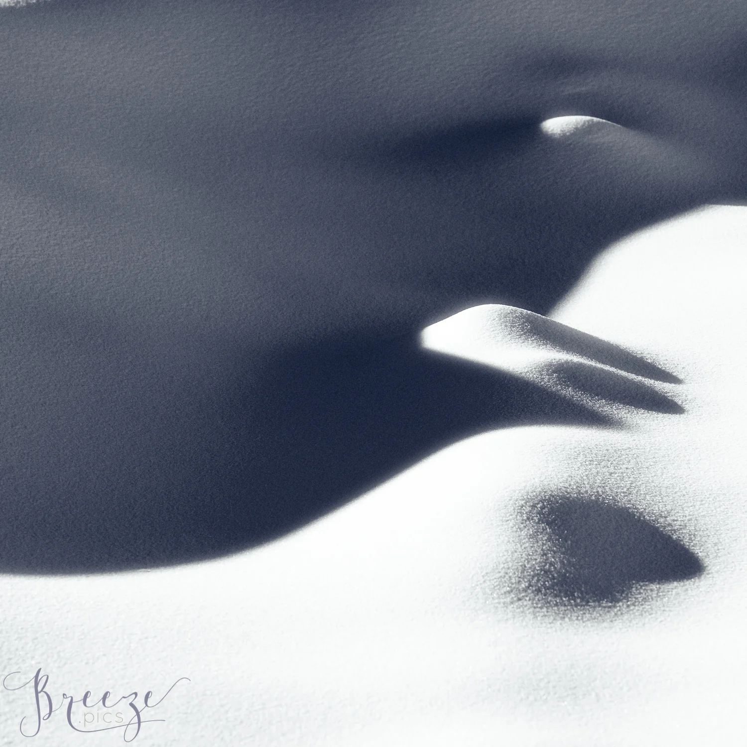 Shadows in the Snow, Switzerland, Fine Art Photograph Print, Breeze Pics, Bernadette Meyers,
