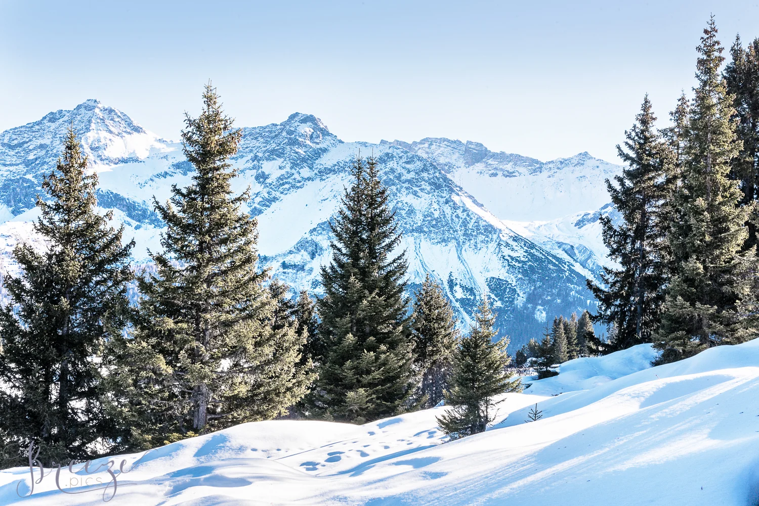 Peaceful Alpine Walk Switzerland, Fine Art Print Photograph, Breeze Pics, Bernadette Meyers
