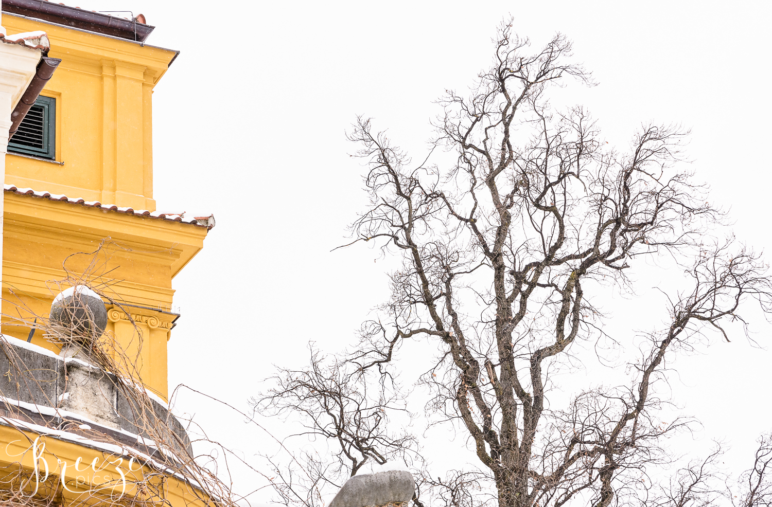 Munich Germany Europe Travel Fine Art Print Photograph, Breeze Pics, Bernadette Meyers