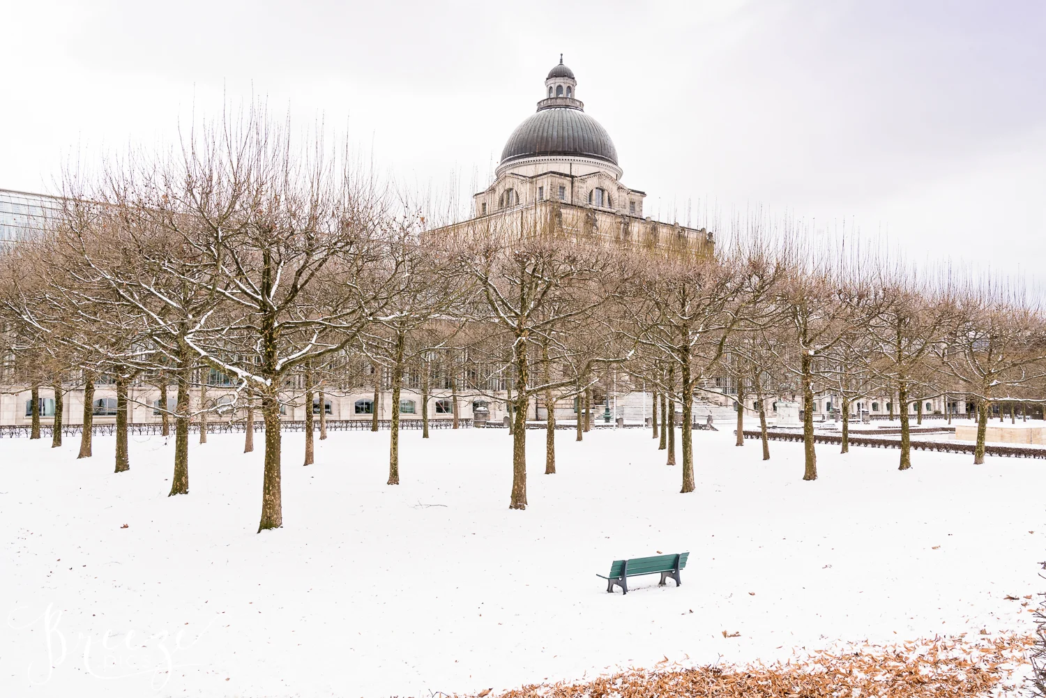 Munich_Winter_Park.jpg