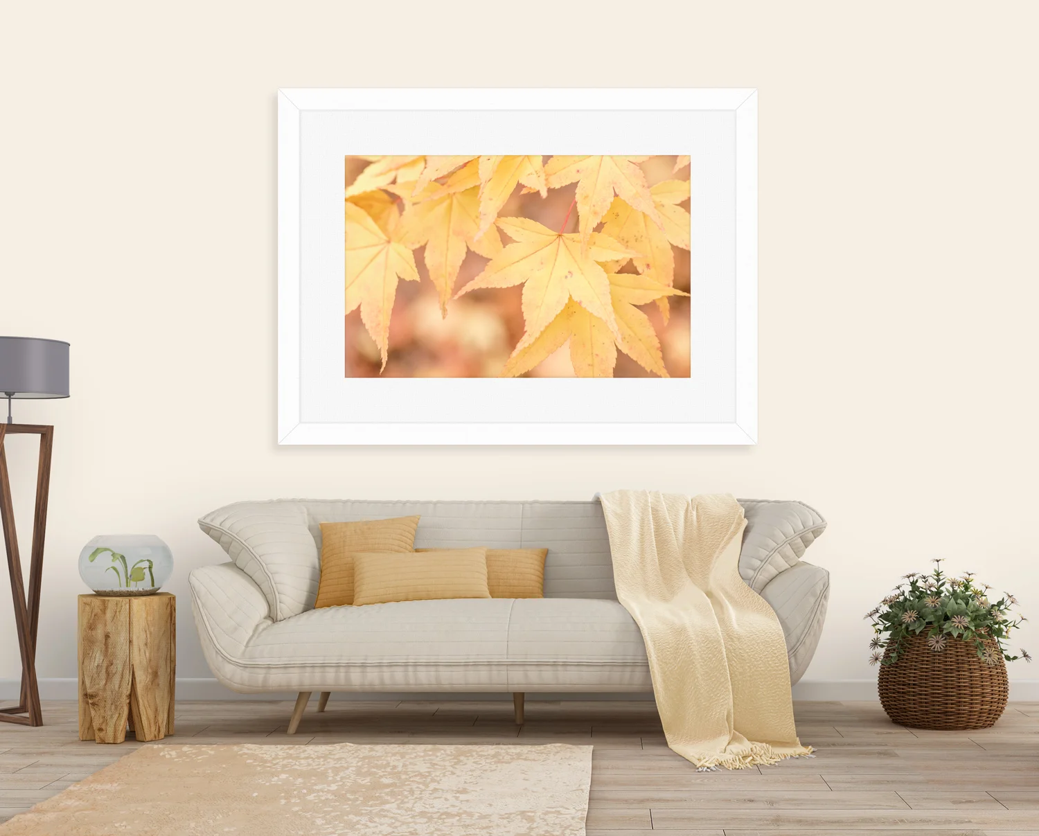 Light for Creating Your Perfect Sanctuary, Bernadette Meyers, Breeze Pics