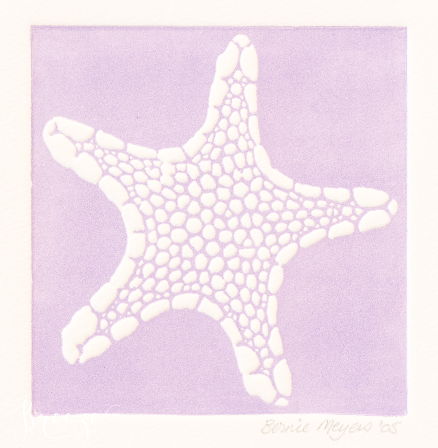 seastar relief print limited edition fine art print, Bernadette Meyers
