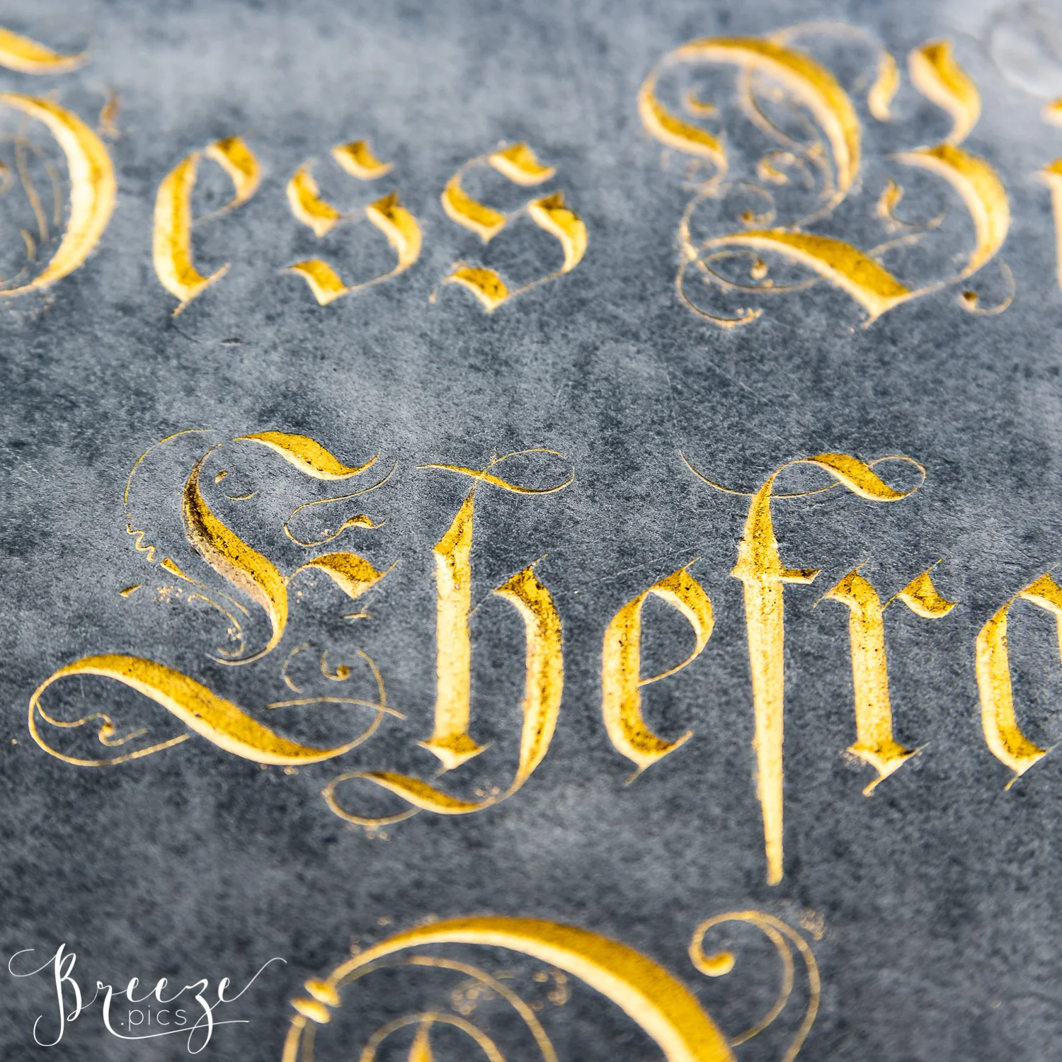 gold lettering munich limited edition fine art print, Bernadette Meyers