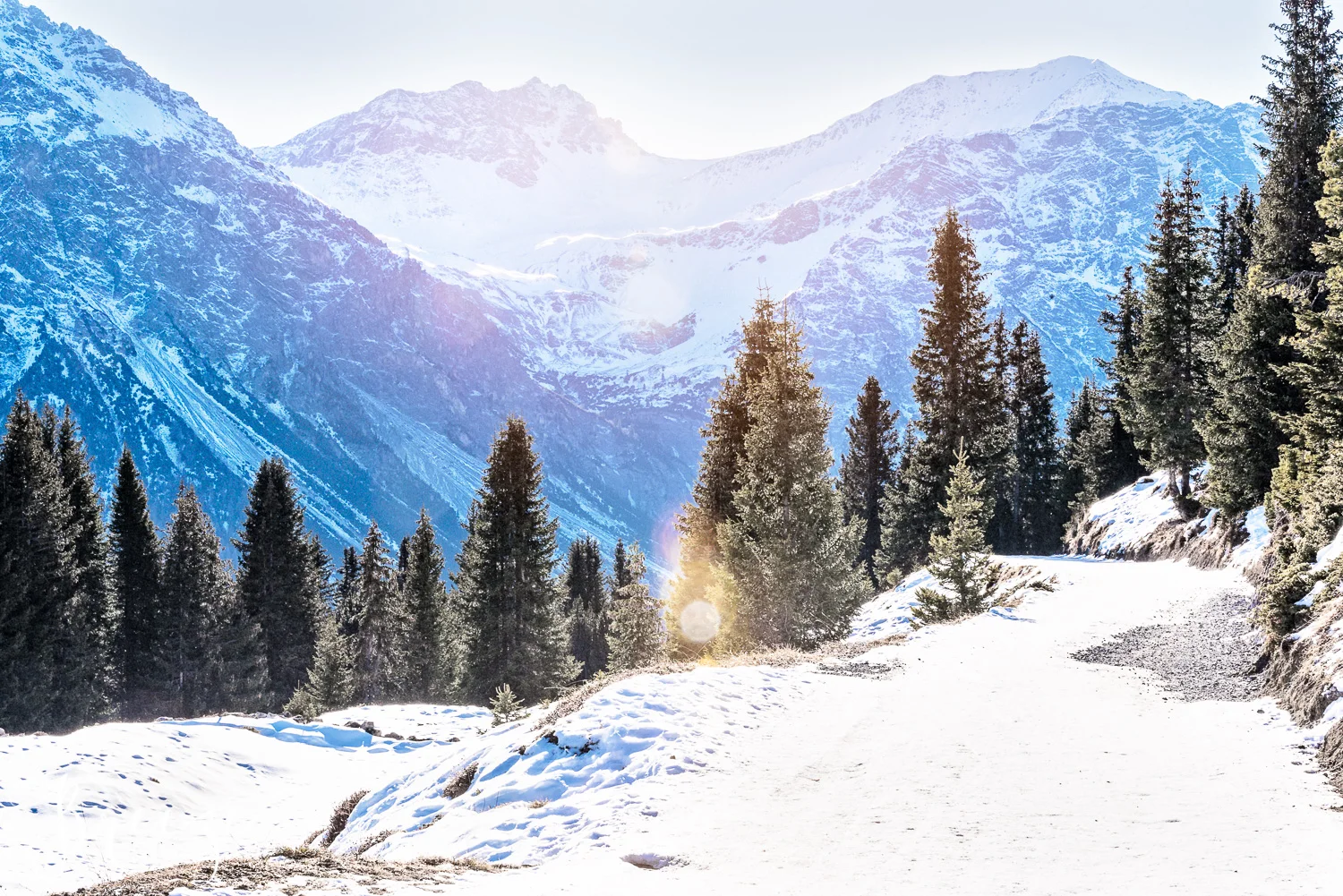 sunlit peaks limited edition fine art wall decor, Bernadette Meyers