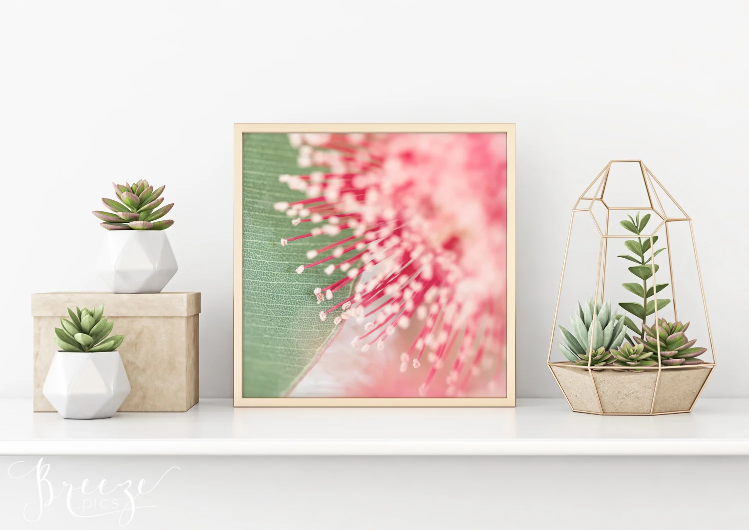 A guide to art and photography for the home gym