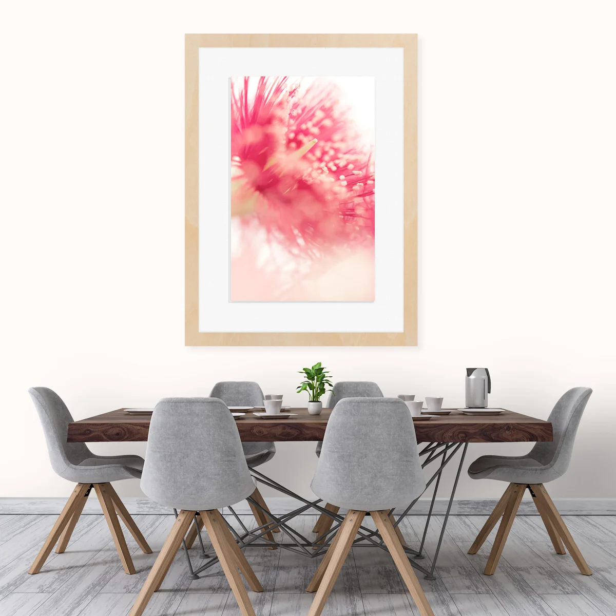 Eucalyptus blossom study, fine art photograph, home decor print, Breeze Pics