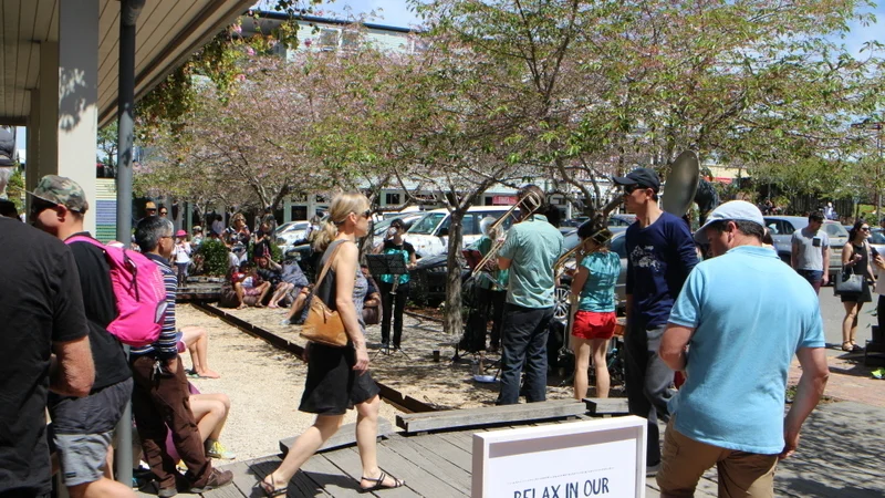 Saturday Matakana Market Day, every Saturday