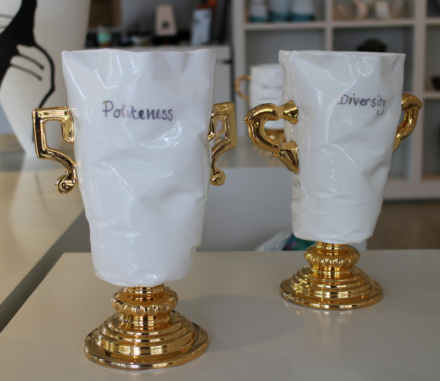 Trophies 'Politeness &amp; Diversity'