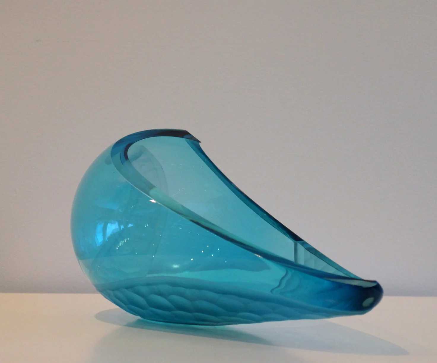 copper blue bigmouth 2.JPG