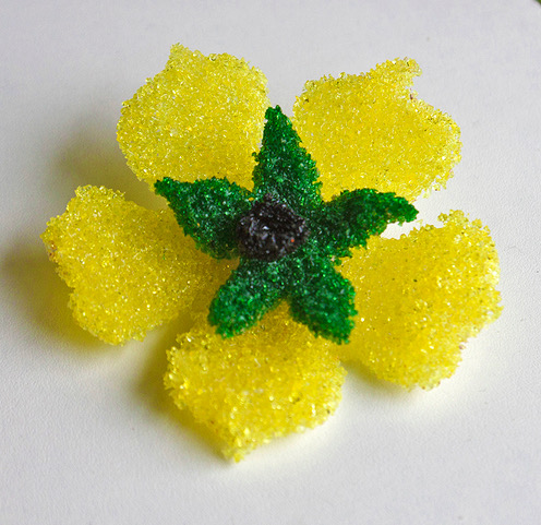 wallflower 1.jpeg