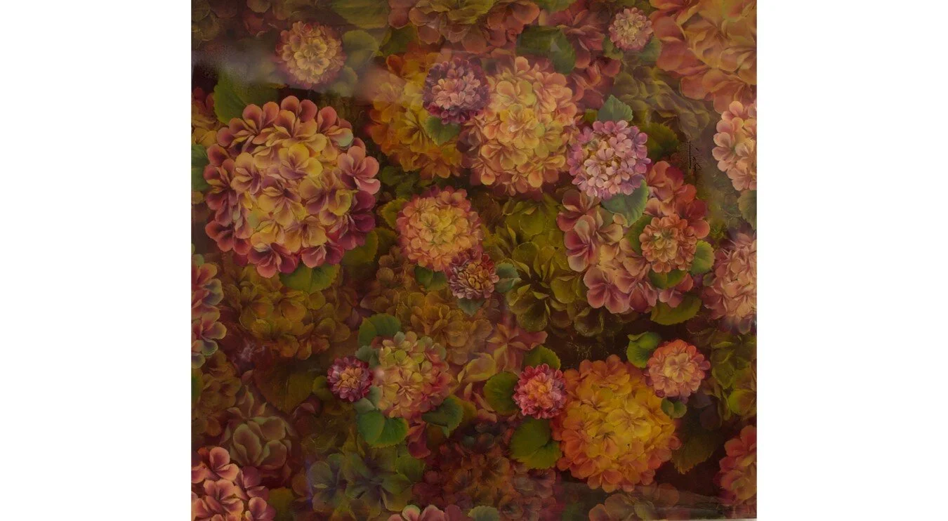 Hydrangea Blooms