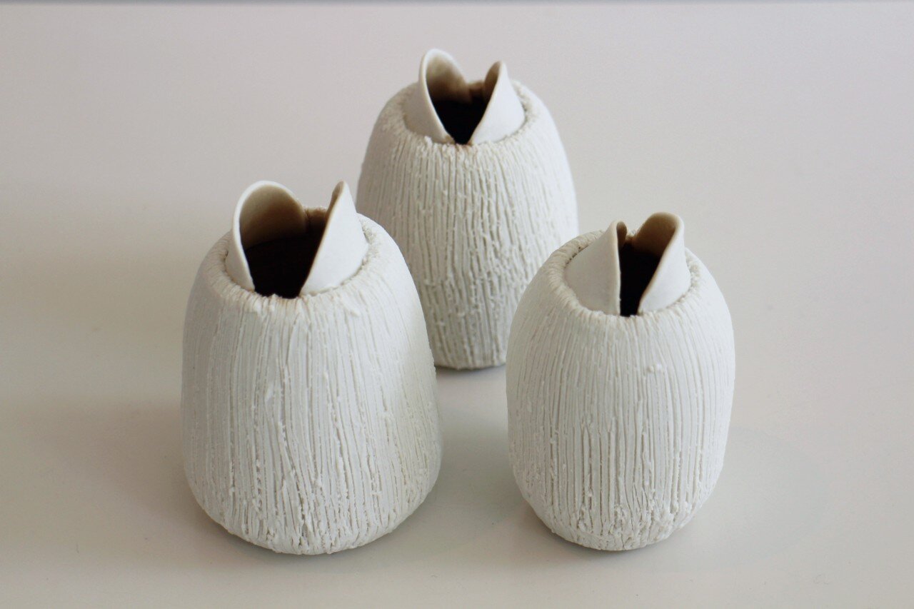 mady-garguilo-barnacle-artform