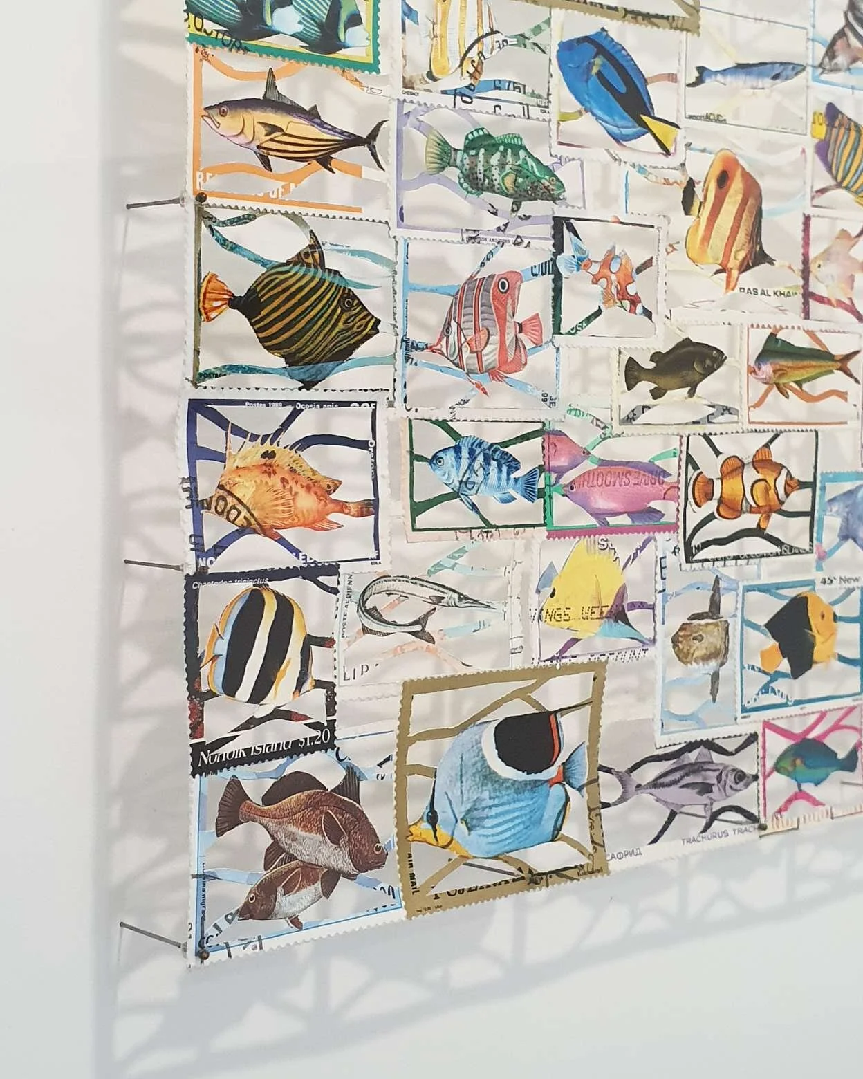 Fish Specimens, Detail, Lianne Edwards, 590 x 465mm