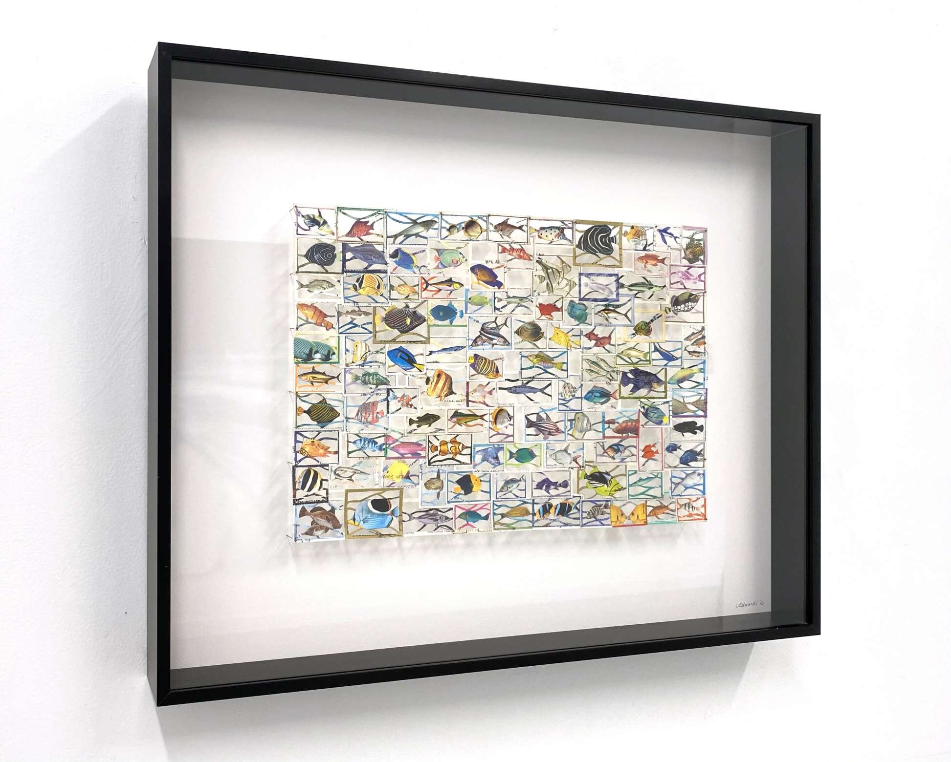 Fish Specimens, Lianne Edwards, 590 x 465mm