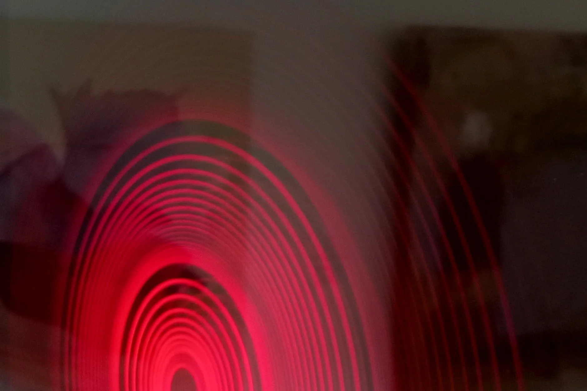 1000050400.jpg
