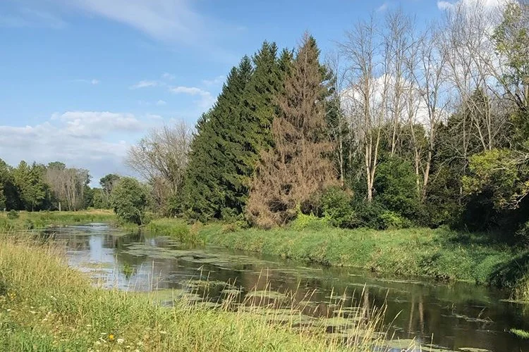 Cedar+Creek.jpg