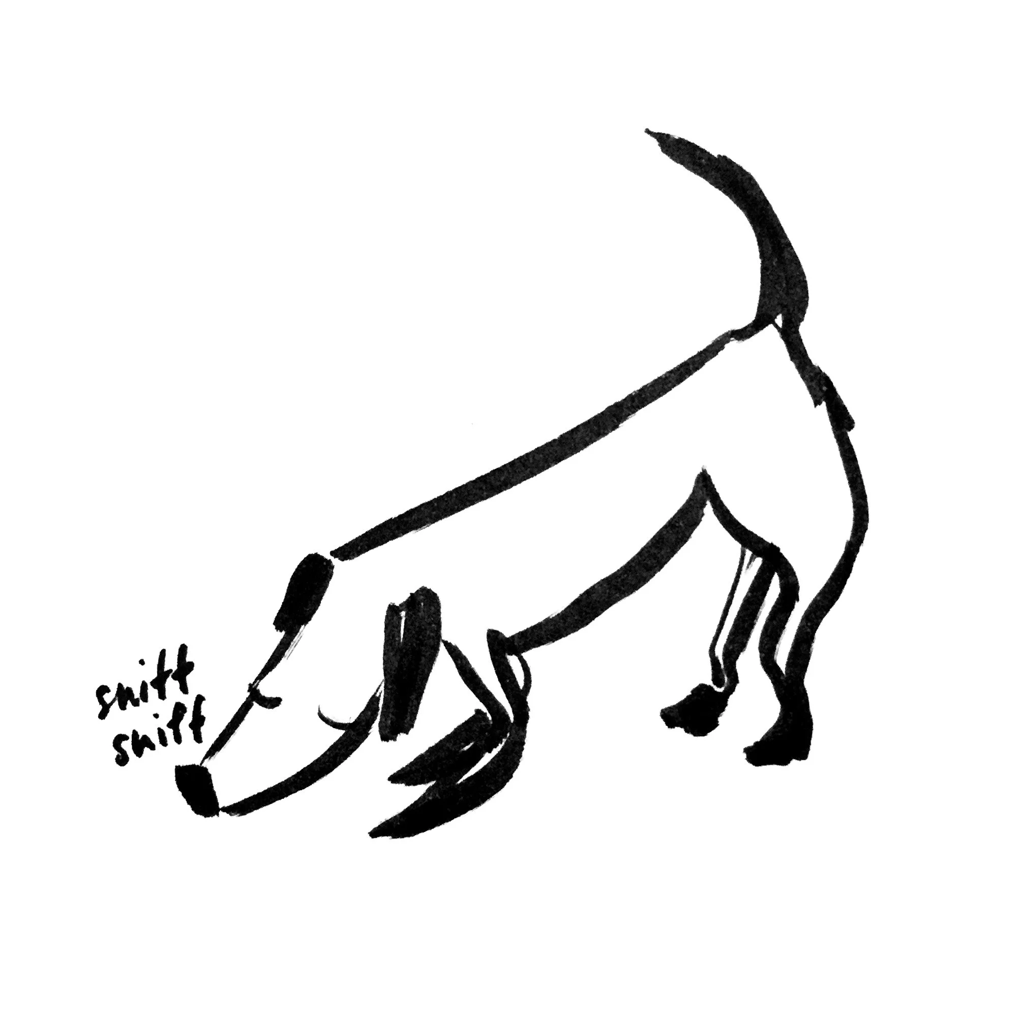 06_dogs_02.jpg