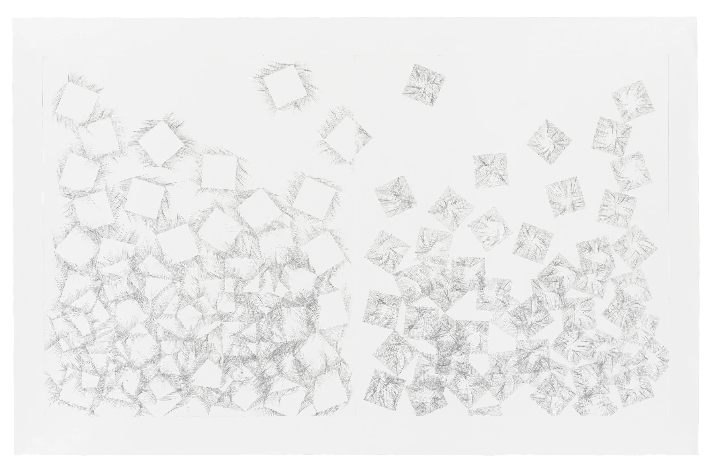 Untitled , 2010, Hard Ground Etching, 52 x 33 inches