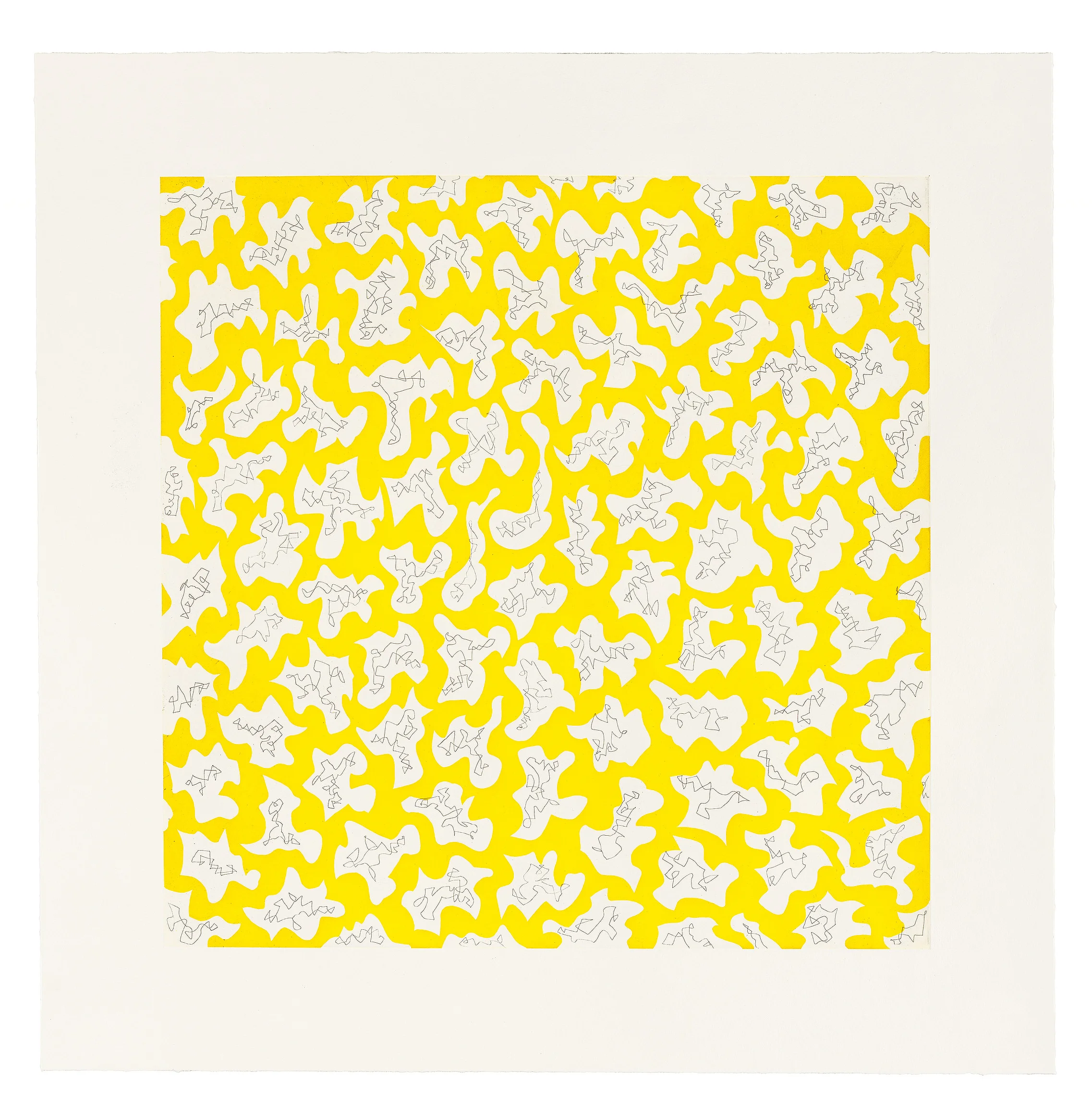 Untitled , 2011, Aquatint and Hard Ground Etching, 34 x 34 inches