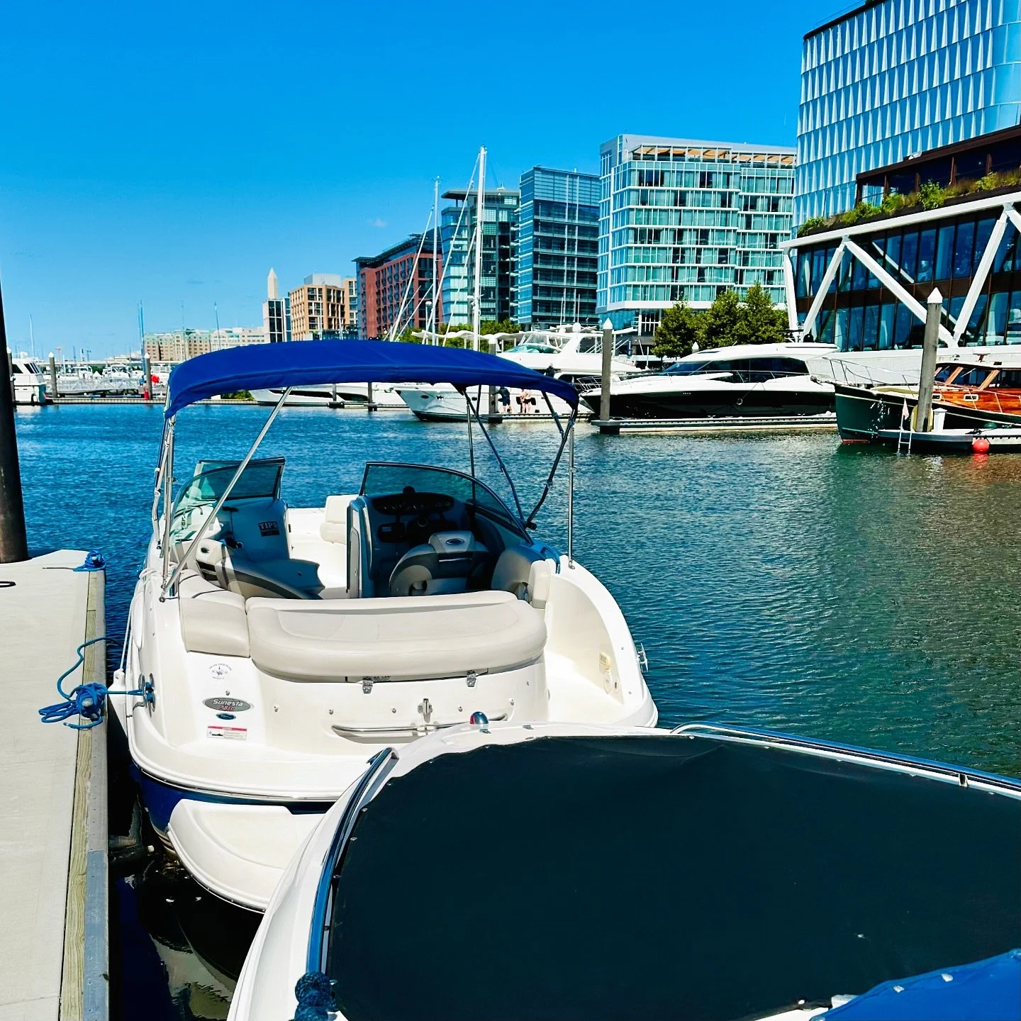 It&rsquo;s a beautiful Sunday for a fun day, and we&rsquo;re already at the docks, so we&rsquo;re doing a &ldquo;we&rsquo;re already here&rdquo; discount day. Call us for last minute bookings. 1 (888) 634-3335