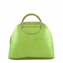 Splendid Petit Leather Handbag Green
