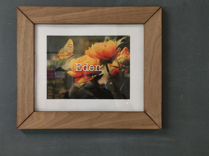 Frame gif.gif