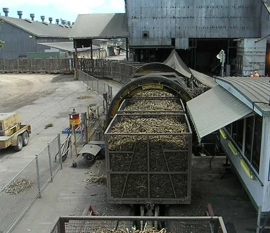 18 - Cane billet delivery to mill.jpg