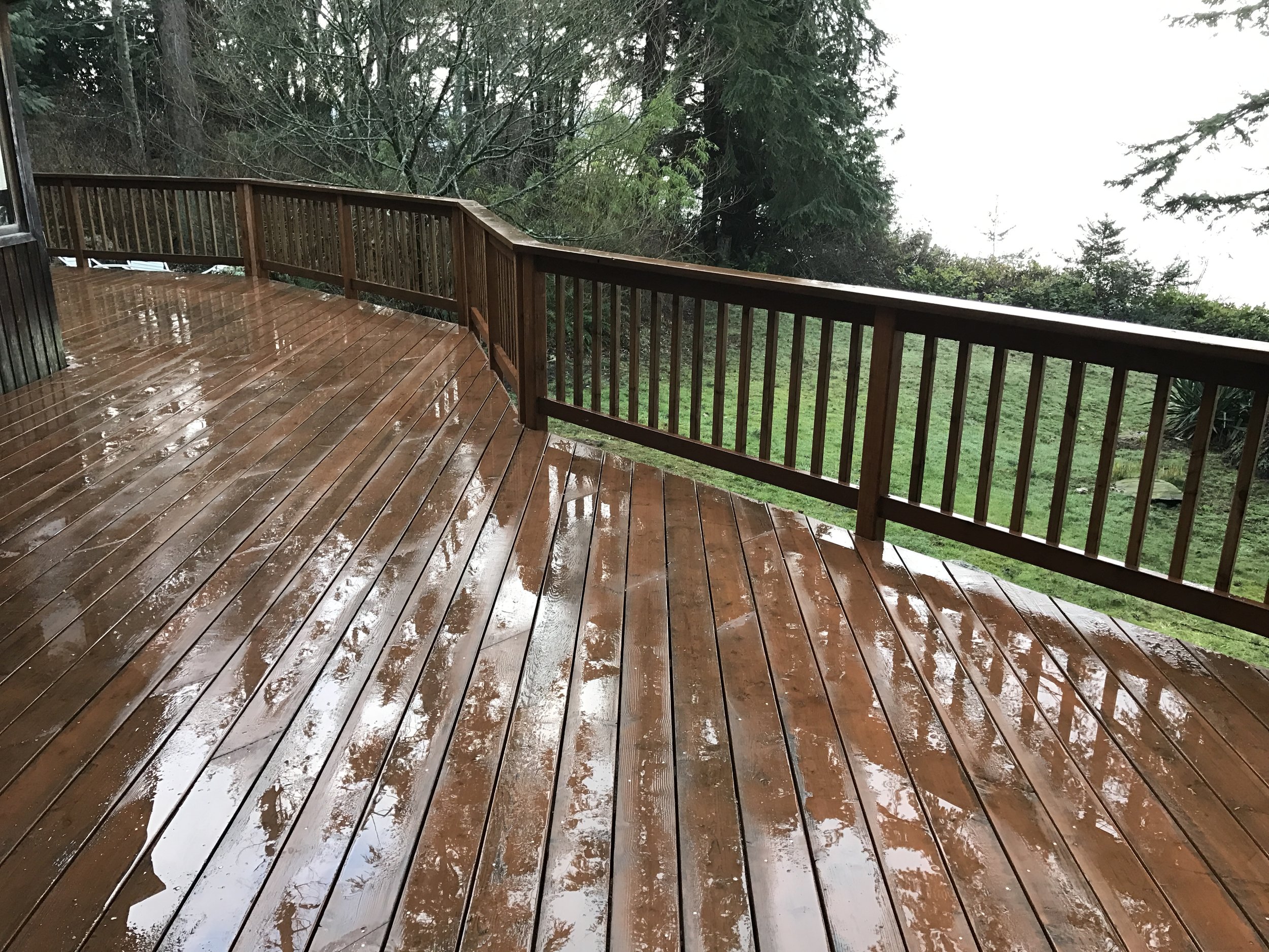 Pressure Treated Douglas Fir