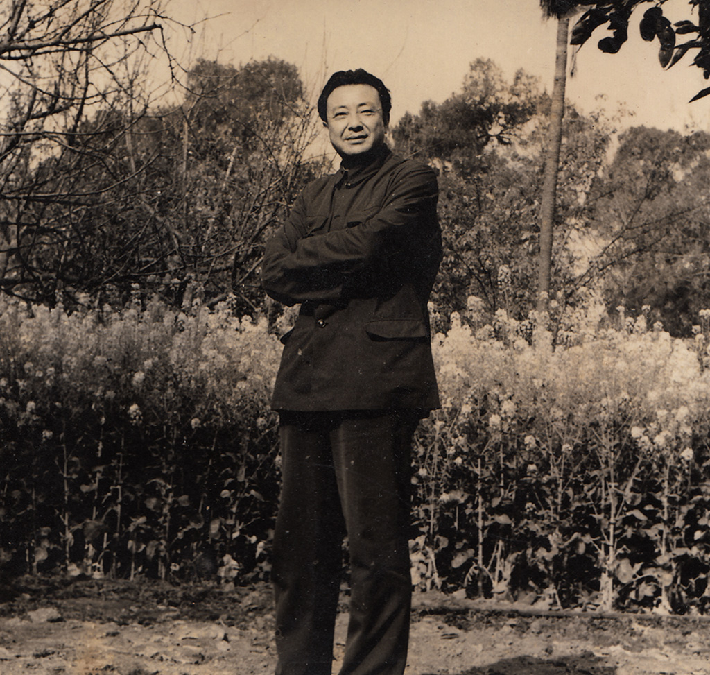 延伸的刺点1.0,2013