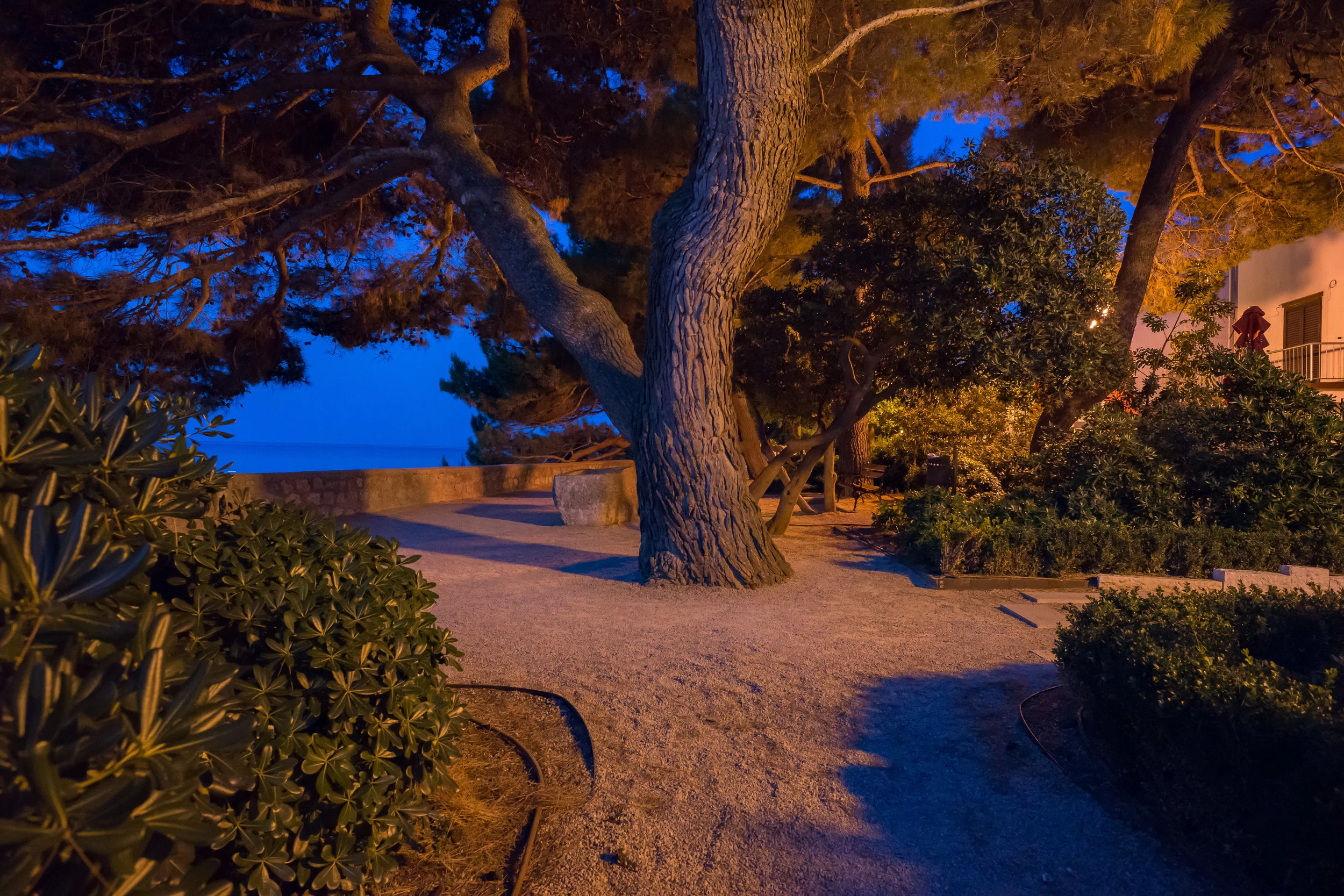 DSC07164-2.jpg
