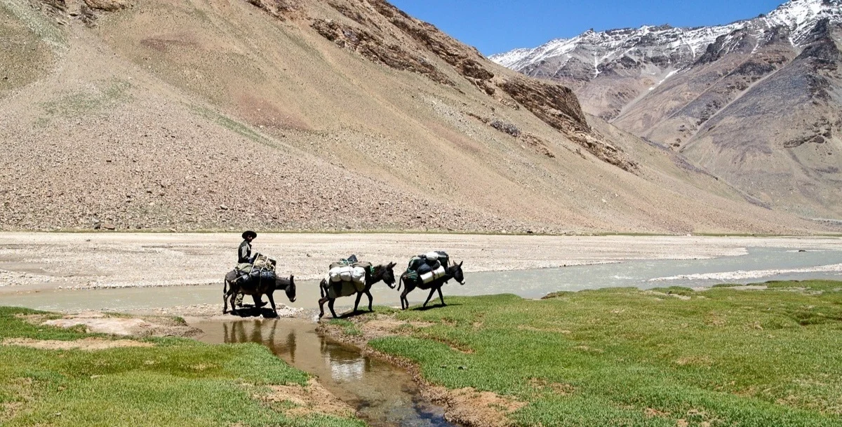 Abschied - der Kopf voran, das Herz folgt später