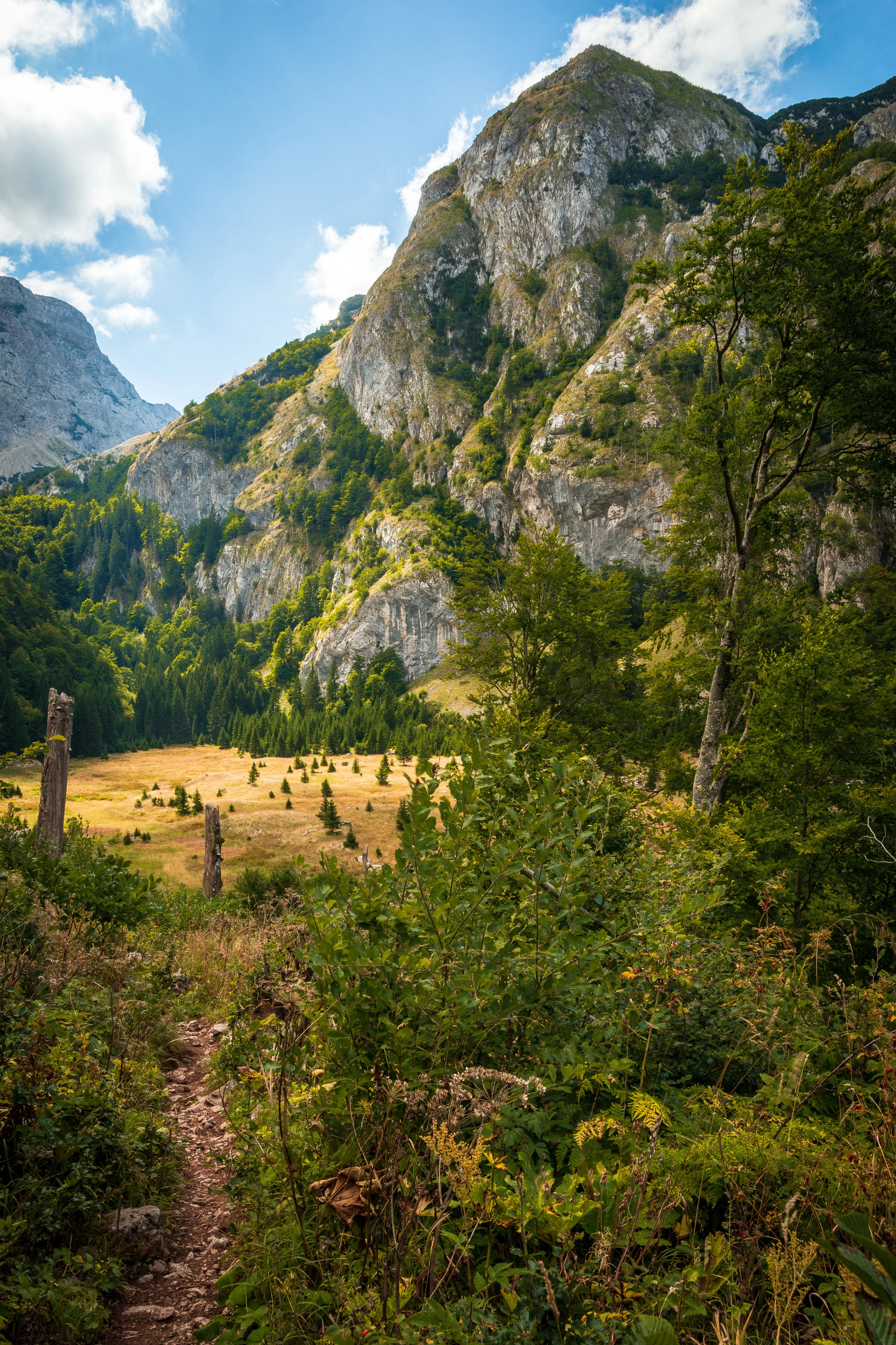 Sutjeska Nationalpark, Bosnien und Herzegowina / Montenegro