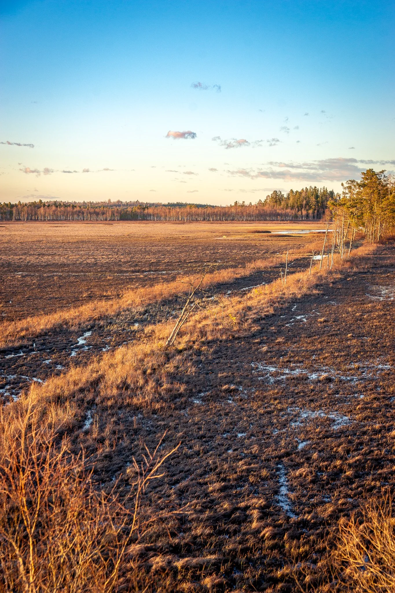 DSC01467-2.jpg
