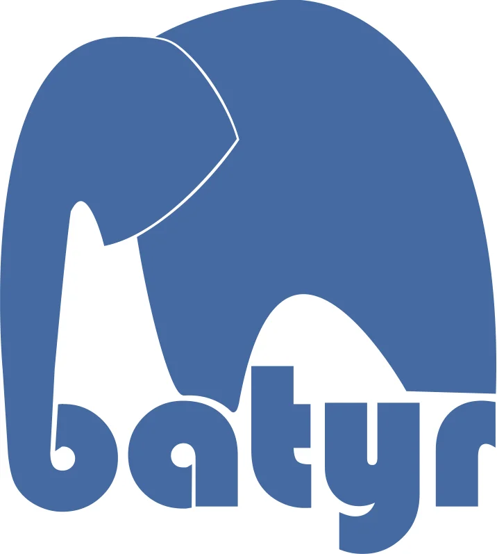 batyr hi res logo.jpg