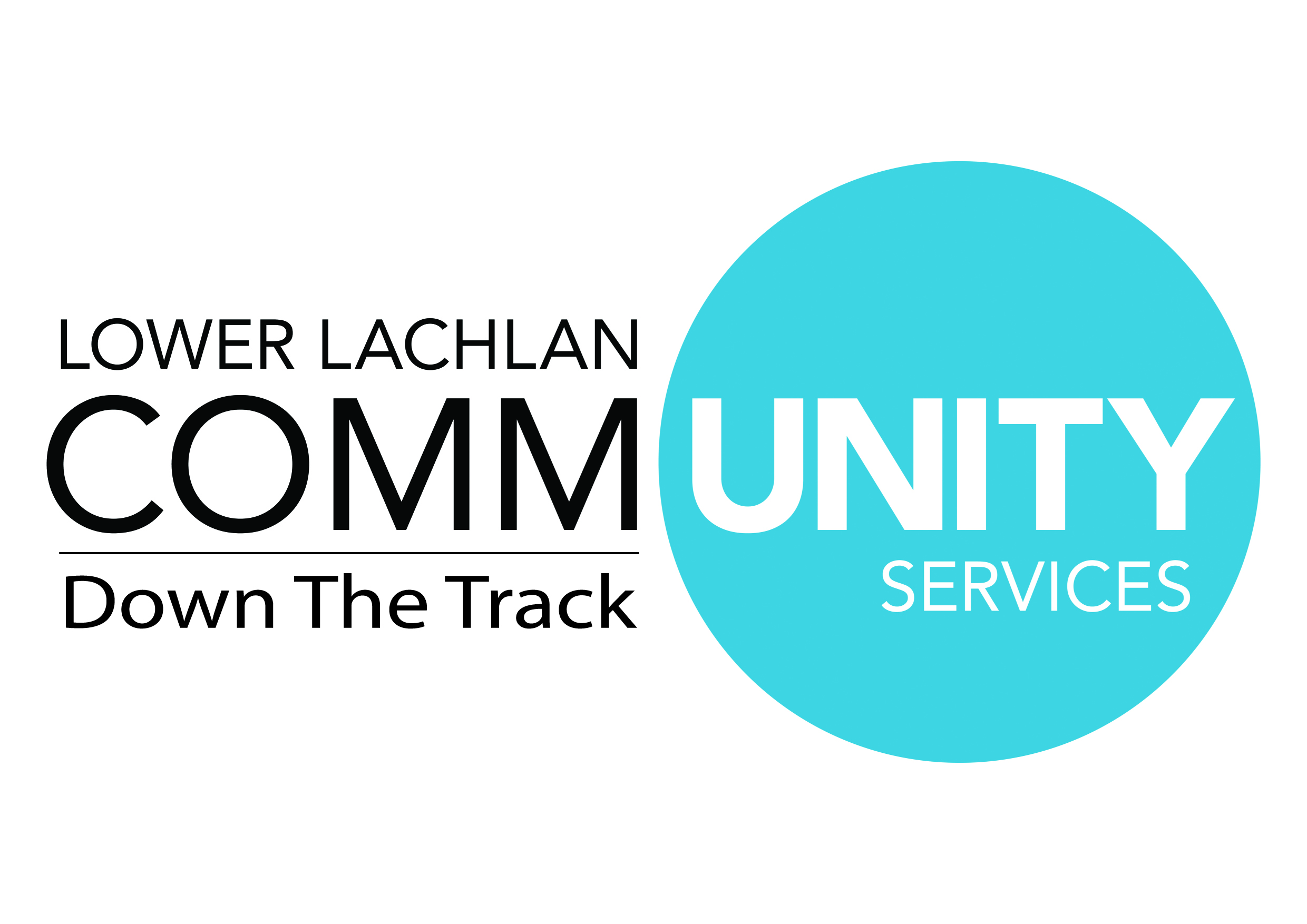 LLCS_Logo_DTT.jpg
