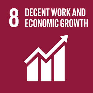 8 - Decent Work and Economic Growth .png
