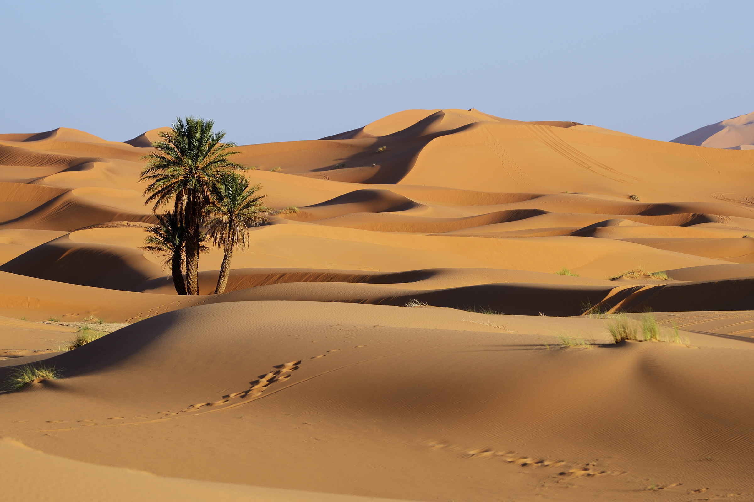 Saharan sand dunes, Morocco