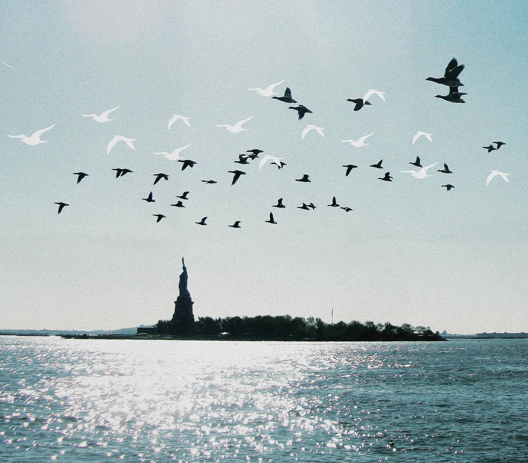 bg birds 2.jpg