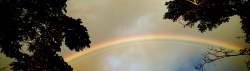 81rainbow.jpeg