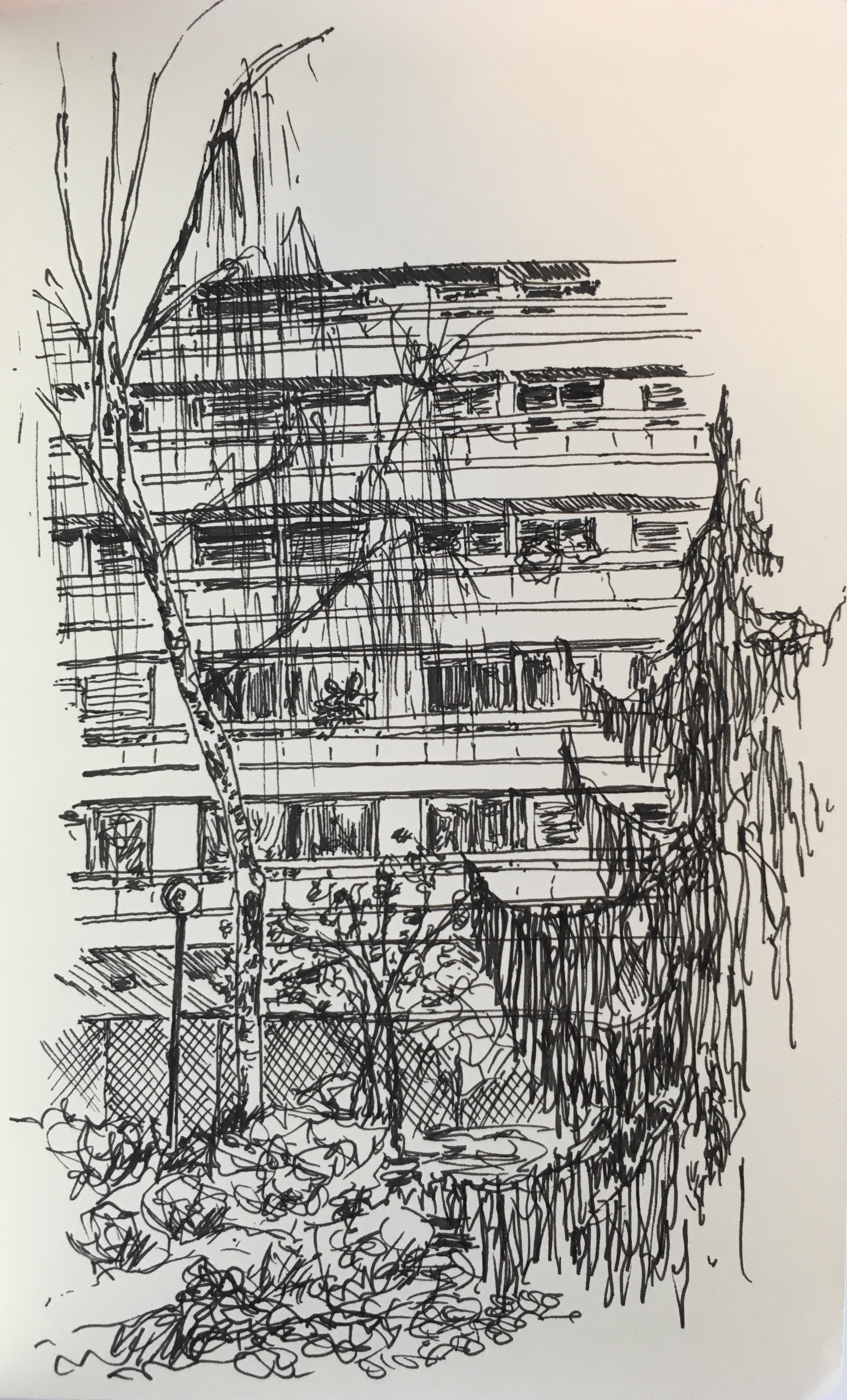  Trees and building, 2017. 