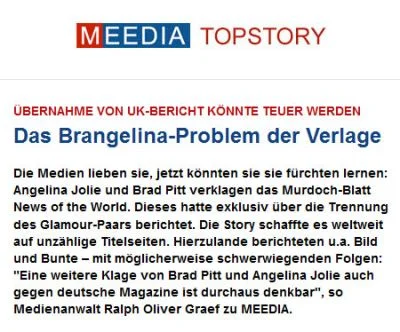 www.meedia.de 28.01.2010 PDF Download