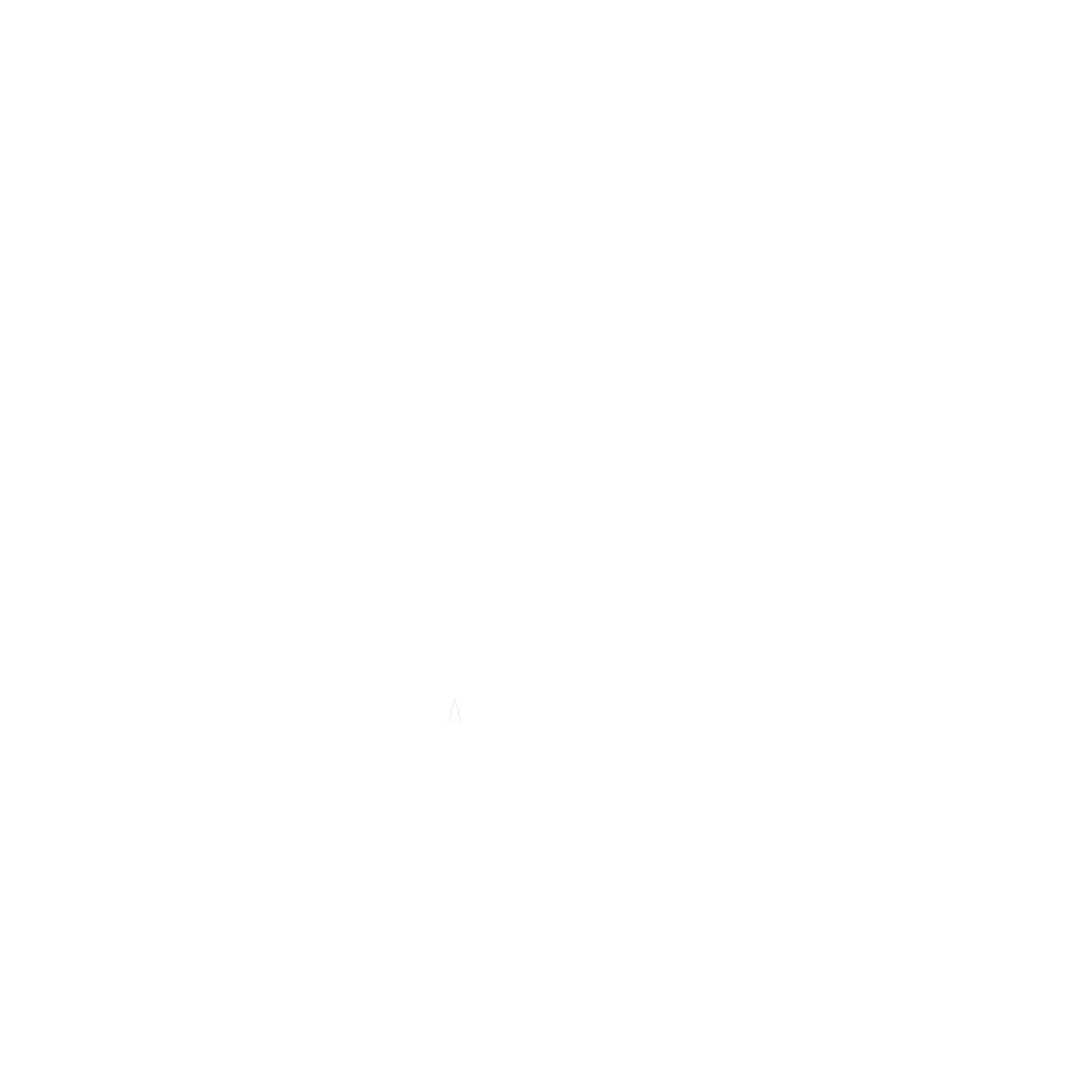 human rights watch small.png