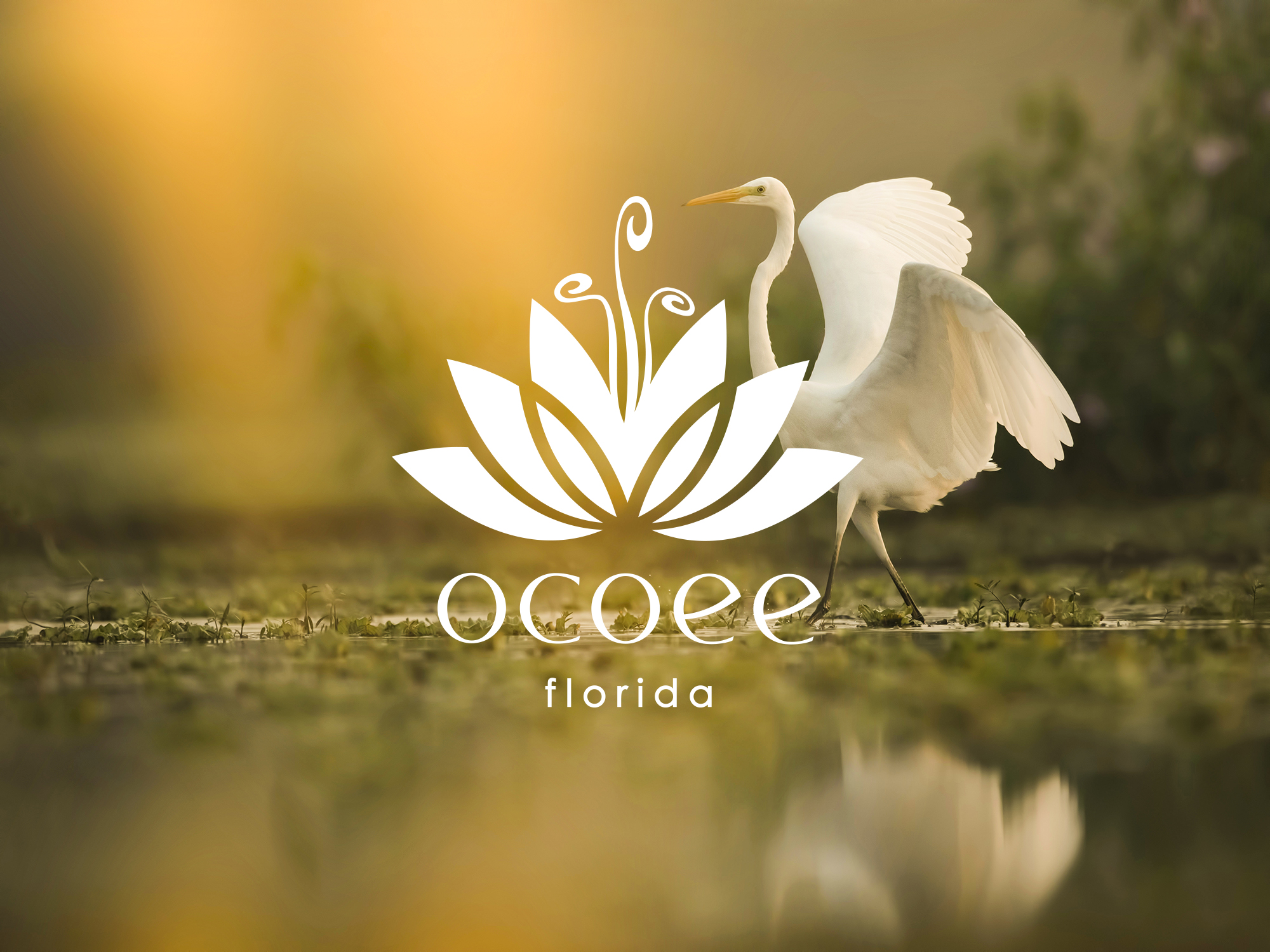 Designing for Ocoee