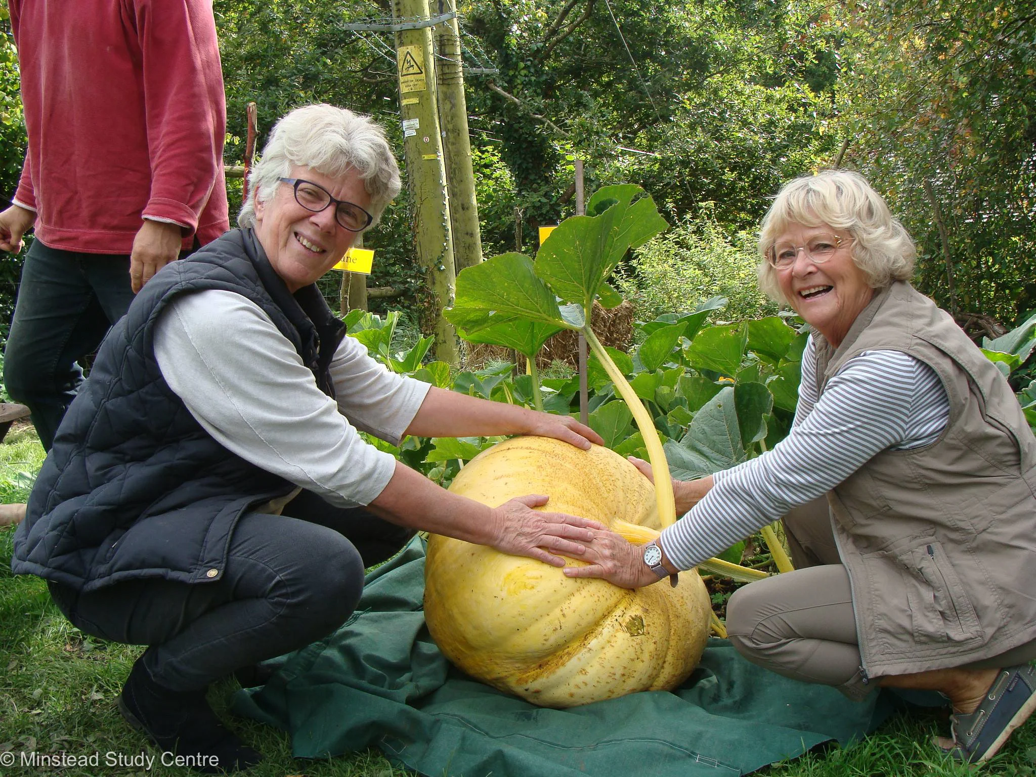 minstead fundraising patron-82.jpg