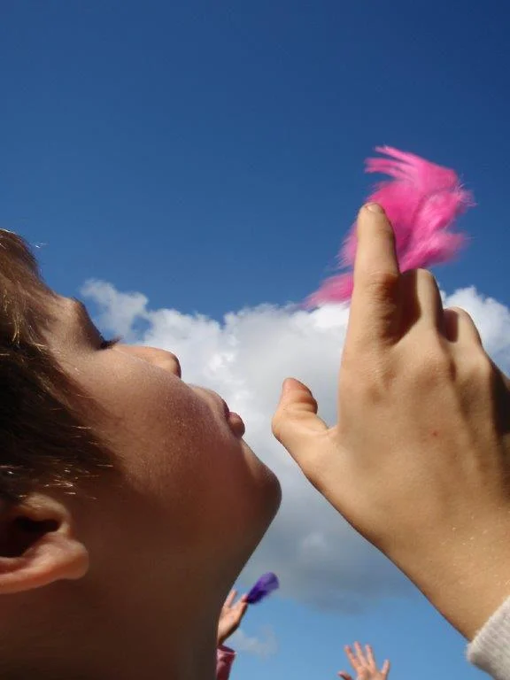 Learning about the wind at Minstead Study Centre