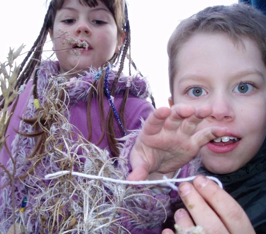 Minstead Study Centre help fund sustainability education